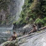 Travel - New Zealand